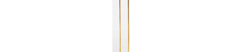             Панель Белый лак Софитто золото (2 секции), 240*3000*8 мм. ООО СИЛИОН 